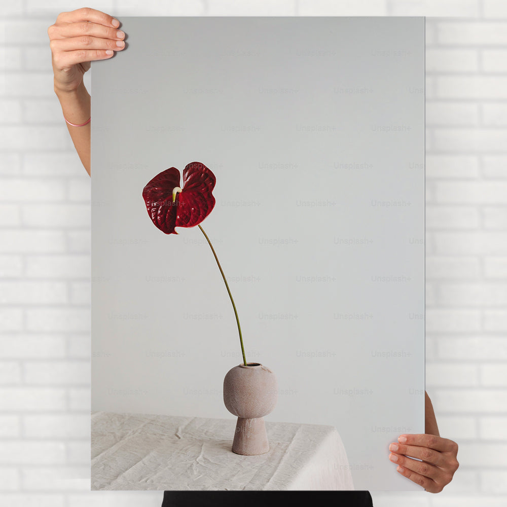 Anthurium Flower Poster