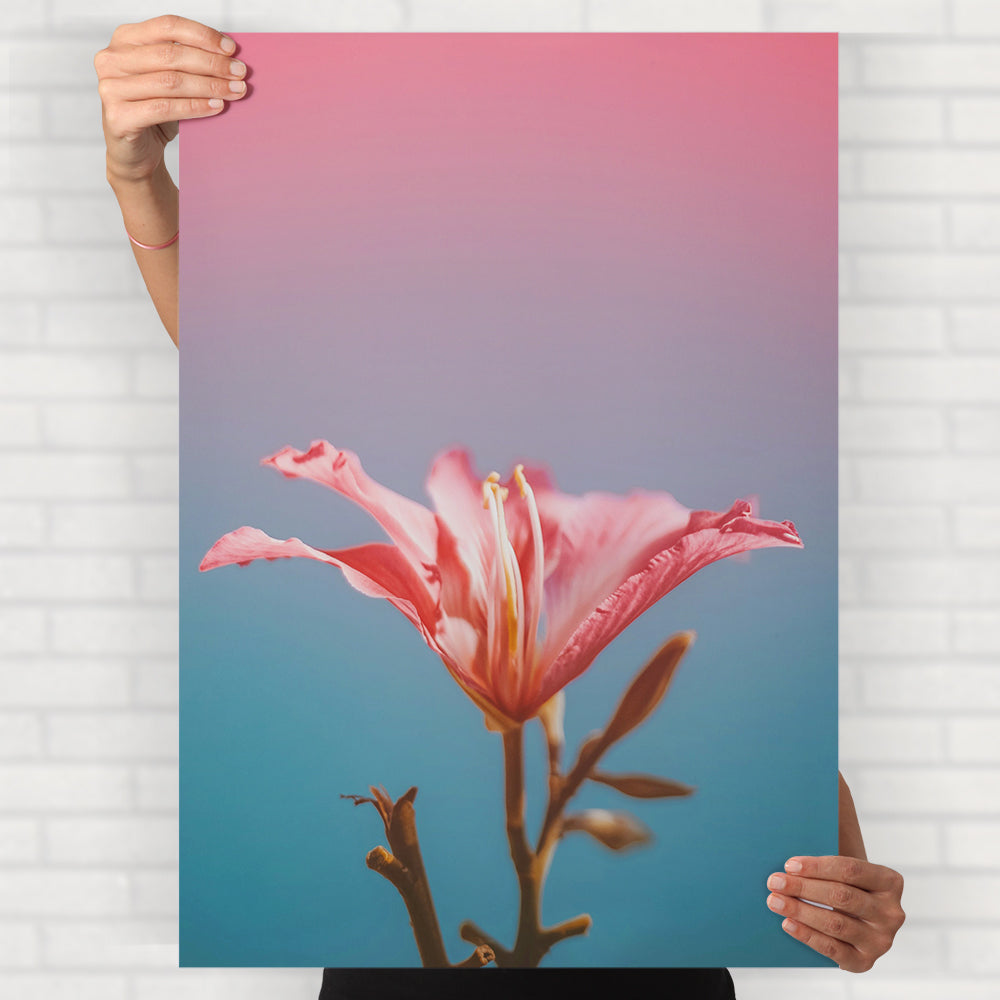 Lily Flower Poster