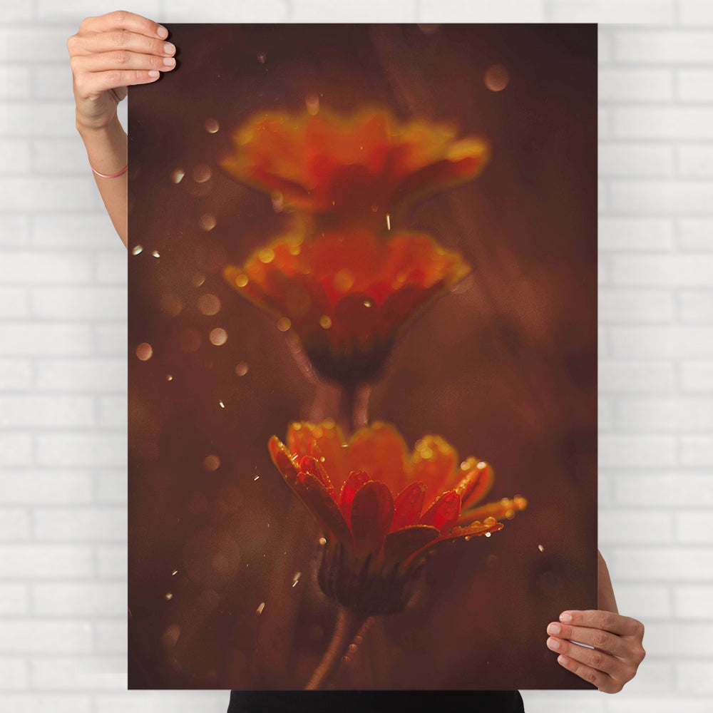 Calendula Flowers Poster