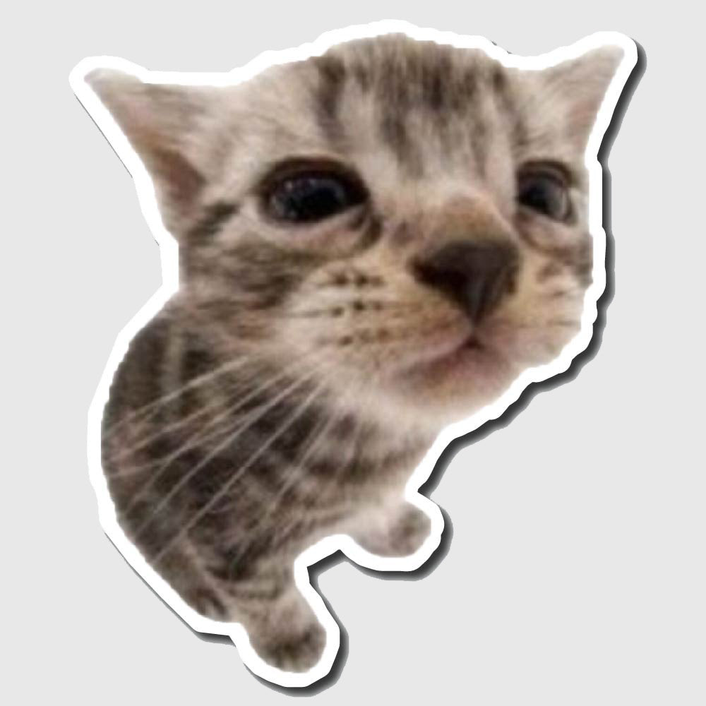 Sad cat sticker
