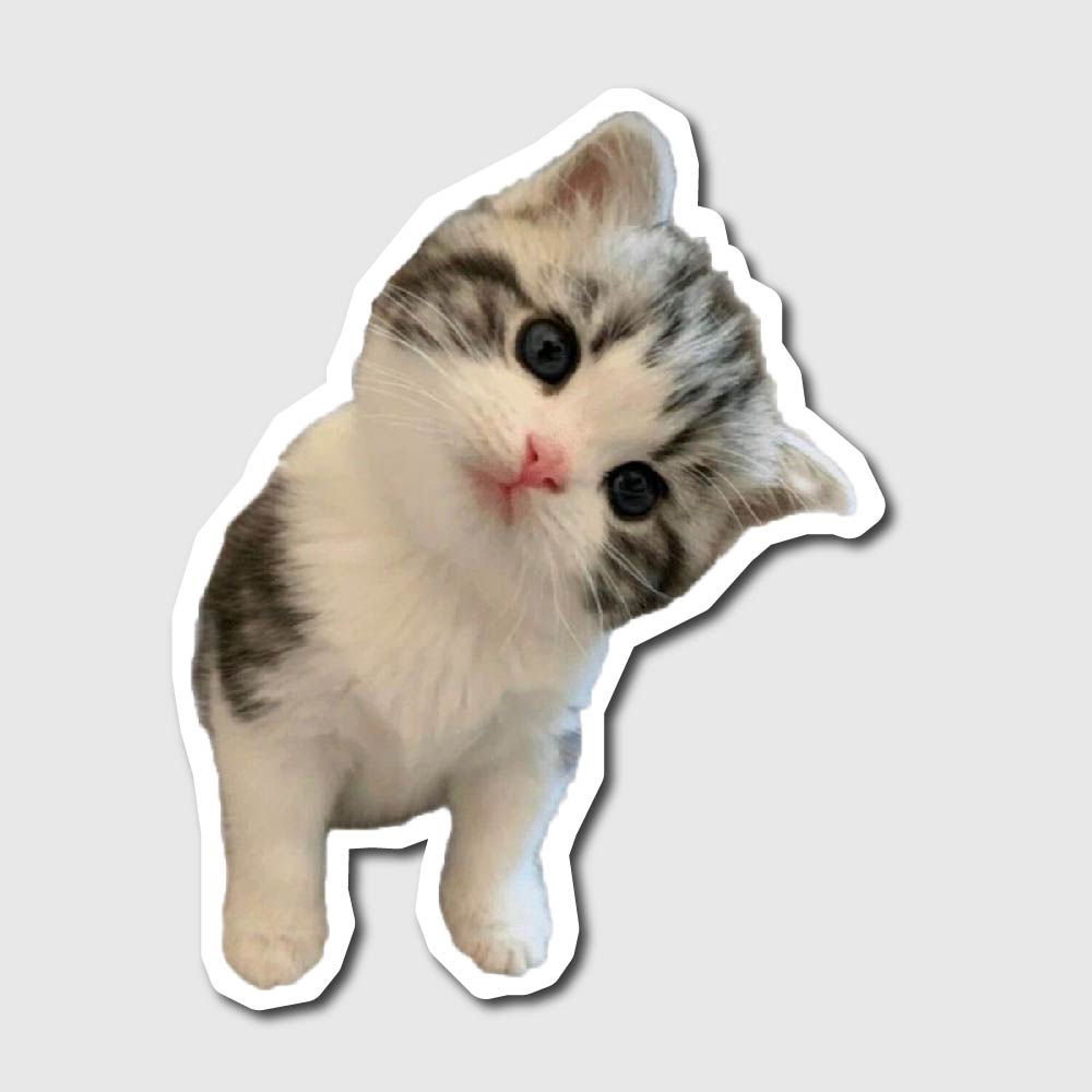 Curious Cat Sticker