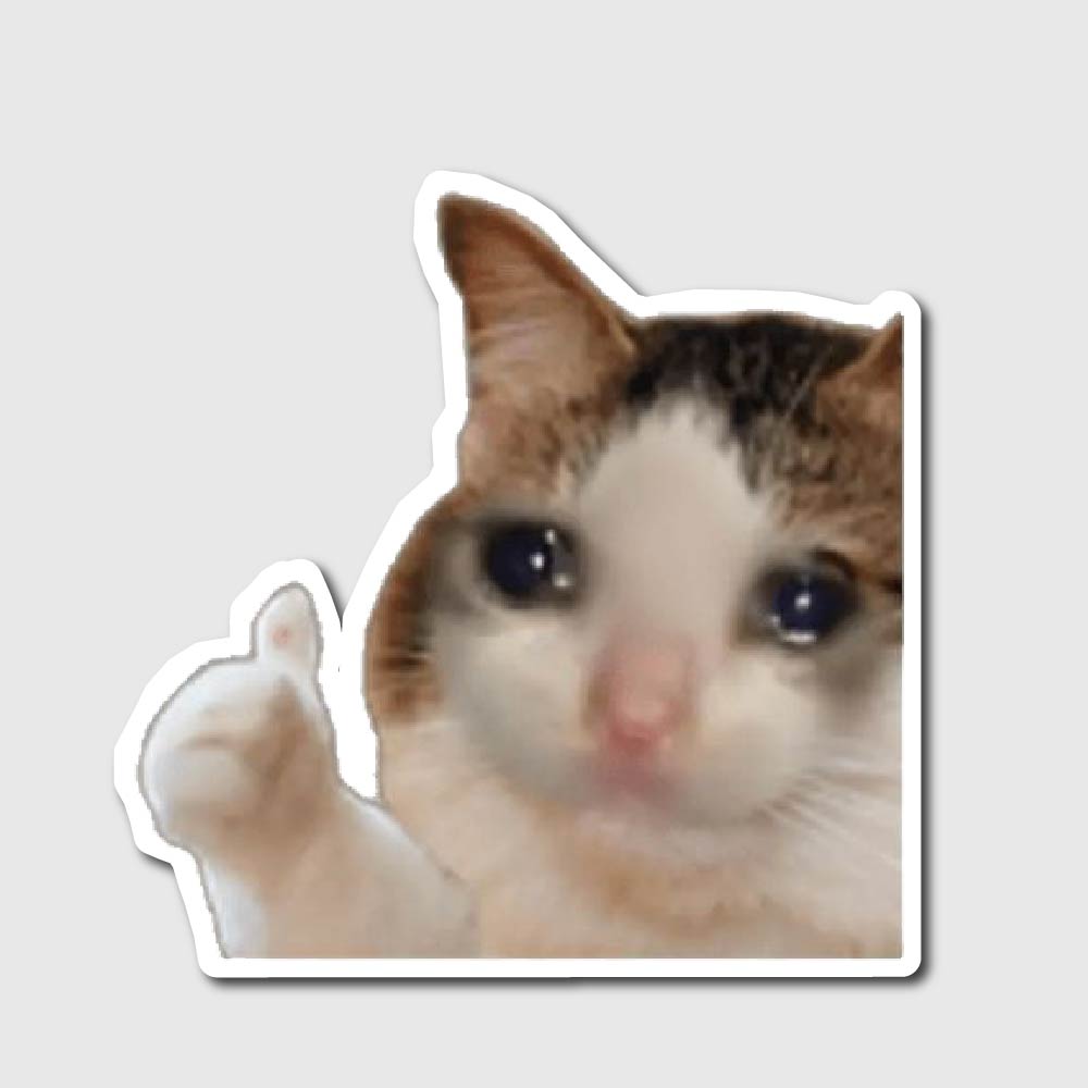 Crying Cat Sticker