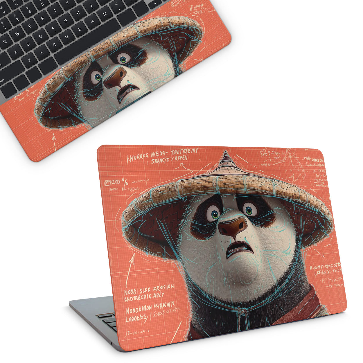 Kung Fu Panda Laptop Skin