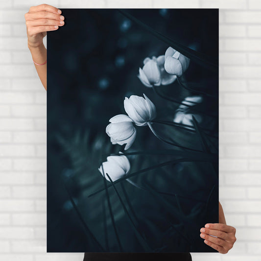 Elegant White Flower Poster