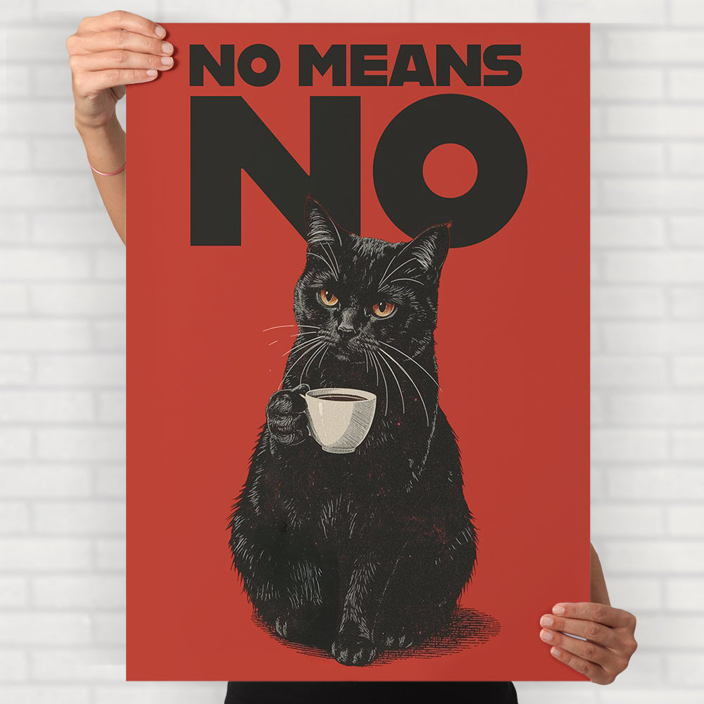 No Means No Poster