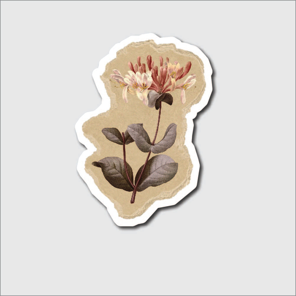 Honeysuckle Flower Sticker