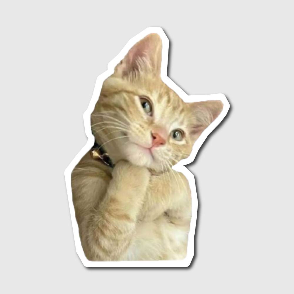 shy cat sticker