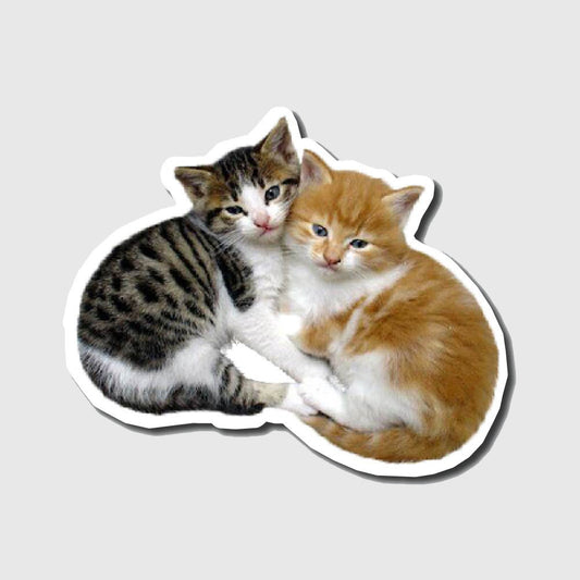 Couple cats sticker