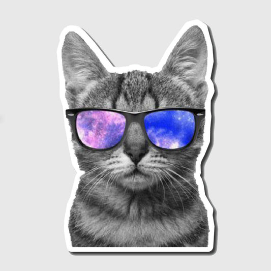 Swaggy Cat Sticker