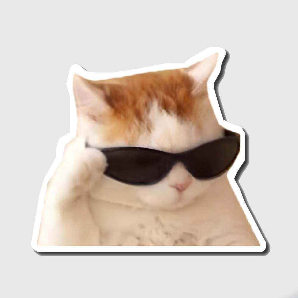 cat wearing sunglasses sticker