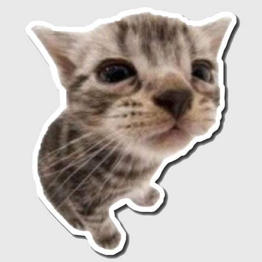 Sad cat sticker