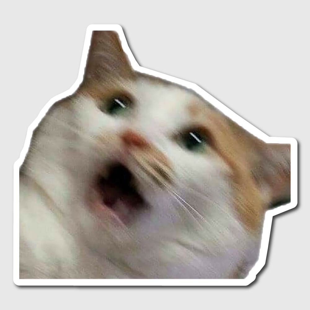 shocked cat sticker