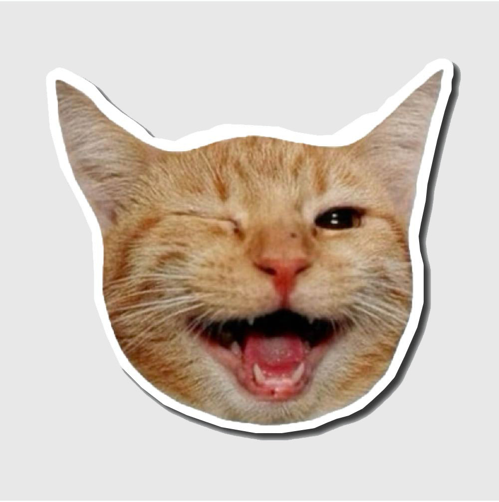 silly cat sticker