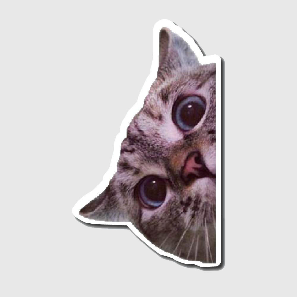 Peeking cat sticker