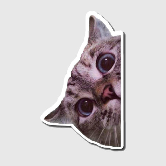 Peeking cat sticker