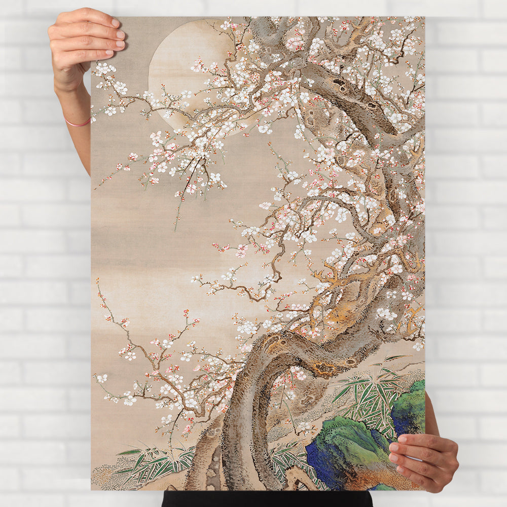 Japanese Plum Blossoms in Moonlight Poster